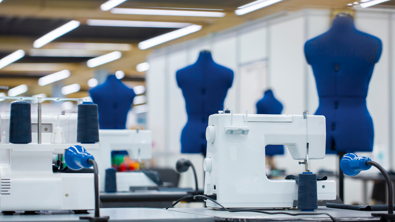 Fashion and Apparel Retail