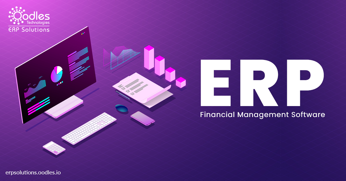 erp finance definition