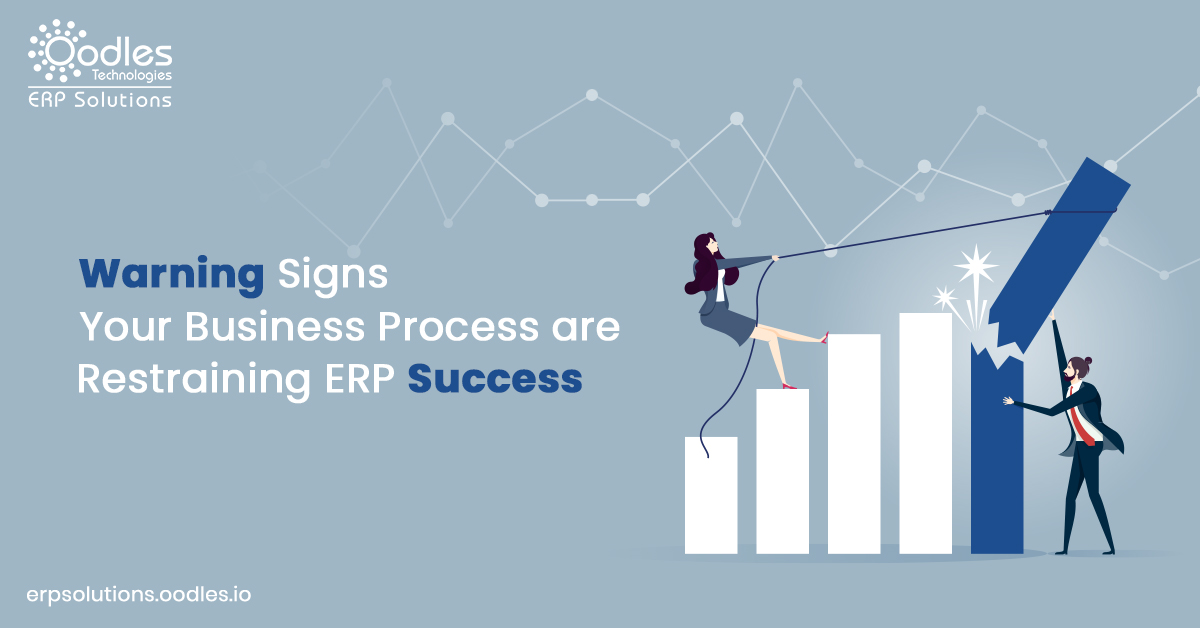 erp success story