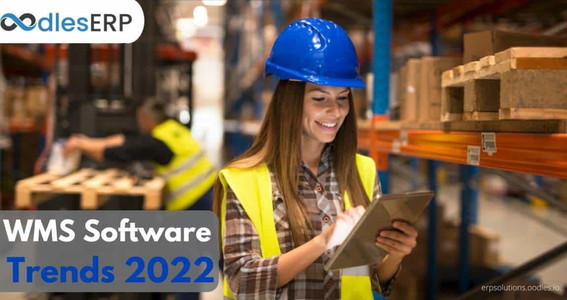 Warehouse Management Software Development