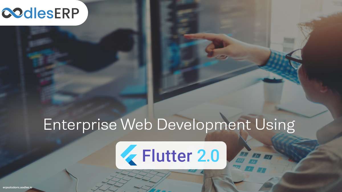 Enterprise Web App Development Using Flutter 2.0