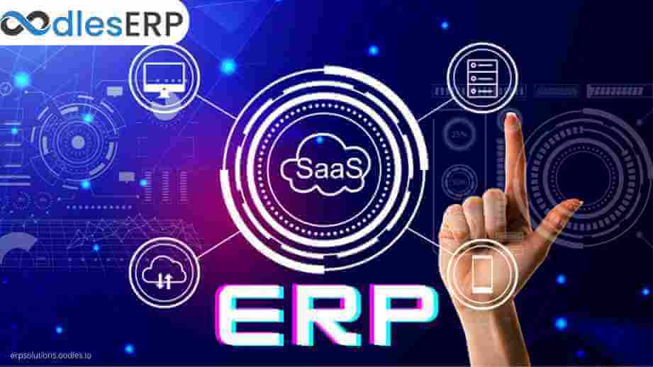 Selecting The Right Software Architecture For SaaS ERP Development