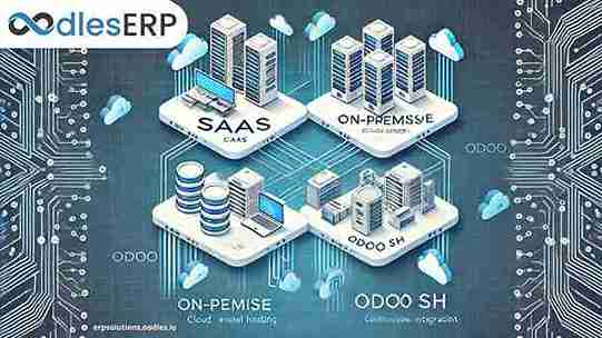 Odoo Hosting Compared: SaaS, On-Premise & SH