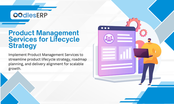 Product Management Services for Lifecycle Strategy